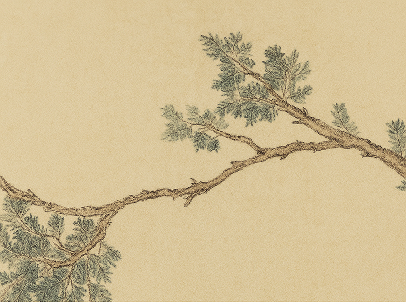 Traditional French Rectangular Fir Wood Solid Wood Plywood Cotton Canvas Floral And Bird Motif Room Divider For Living Room