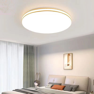 Modern Minimalist Iron Double Wire Edging Acrylic Shade LED Flush Mount Ceiling Light For Living Room