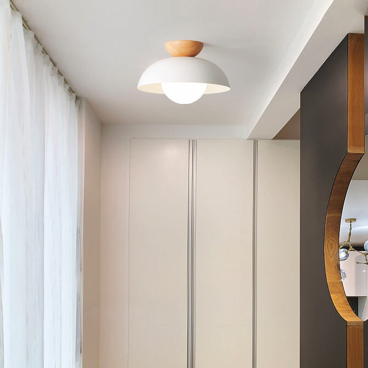 Contemporary Nordic Round Dome Iron Glass 1-Light Semi-Flush Mount Ceiling Light For Living Room &amp; Bedroom