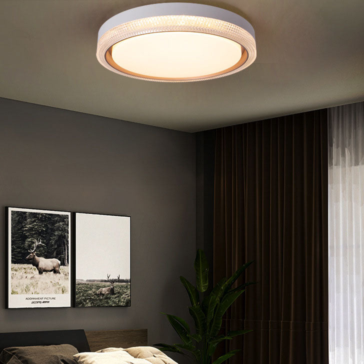 Modern Simple Acrylic Round Ring Iron LED Flush Mount Ceiling Light