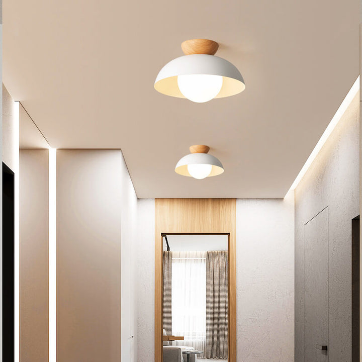 Contemporary Nordic Round Dome Iron Glass 1-Light Semi-Flush Mount Ceiling Light For Living Room &amp; Bedroom