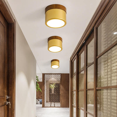 Nordic Golden Cylinder Downlight LED Flush Mount Ceiling Light