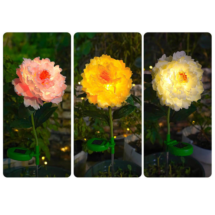 Moderne Simulation Pfingstrosenblumendekoration Wasserdichtes Solar-LED-Garten-Bodenlicht im Freien 