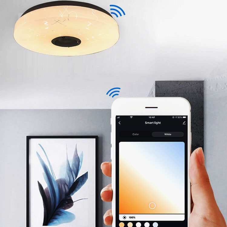 Modern Simple Intelligent Control Round LED Flush Mount Ceiling Light