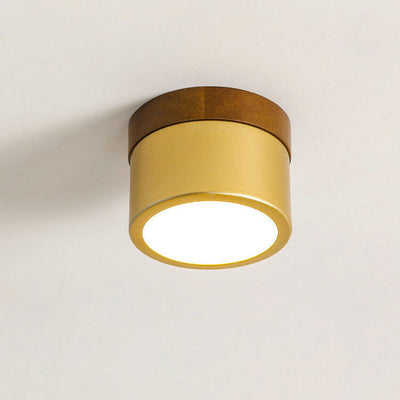 Nordic Golden Cylinder Downlight LED Flush Mount Ceiling Light