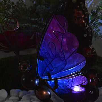 Solarglasschmetterling im Freien LED dekorative Gartenleuchte 