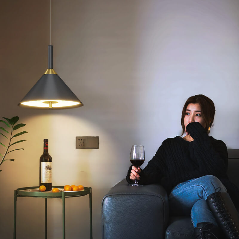 Modern Minimalist Intelligent Touch Lift Iron Acrylic LED Pendant Light