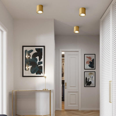 Modern Cylindrical Brass LED Spotlight Flush Mount Ceiling Light