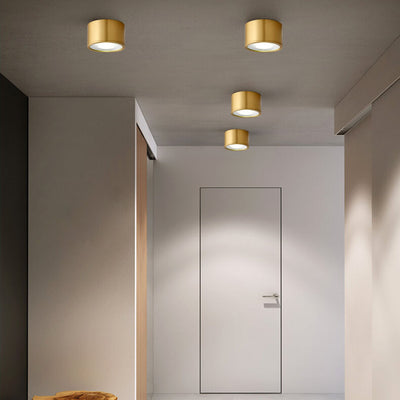 Modern Cylindrical Brass LED Spotlight Flush Mount Ceiling Light