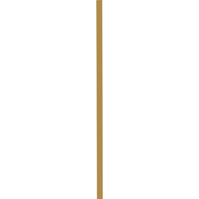 Outdoor Modern Simple Gold Long Strip Acrylic Iron Waterproof LED Wall Sconce Lamp