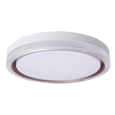 Modern Simple Acrylic Round Ring Iron LED Flush Mount Ceiling Light