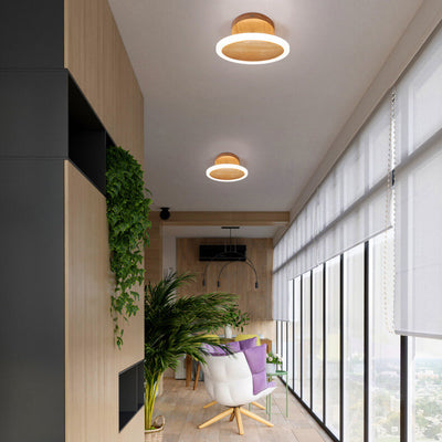 Modern Minimalist Log Oval LED Semi-Flush Mount Ceiling Light