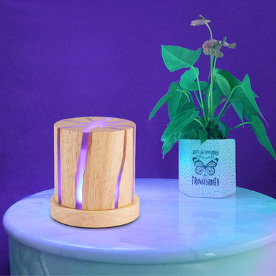 Nordic Minimalist Wooden Resin Column Mini LED Night Light Table Lamp