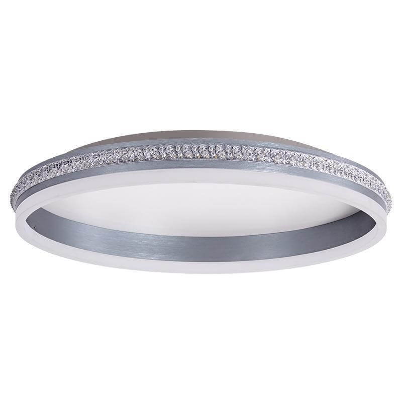 Italian Minimalist Ring Brushed Acrylic LED Flush Mount Ceiling Light