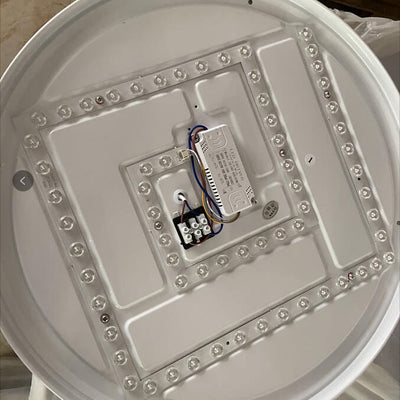 Modern Acrylic Round Brown LED Flush Mount Light