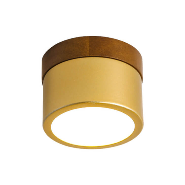 Nordic Golden Cylinder Downlight LED Flush Mount Ceiling Light