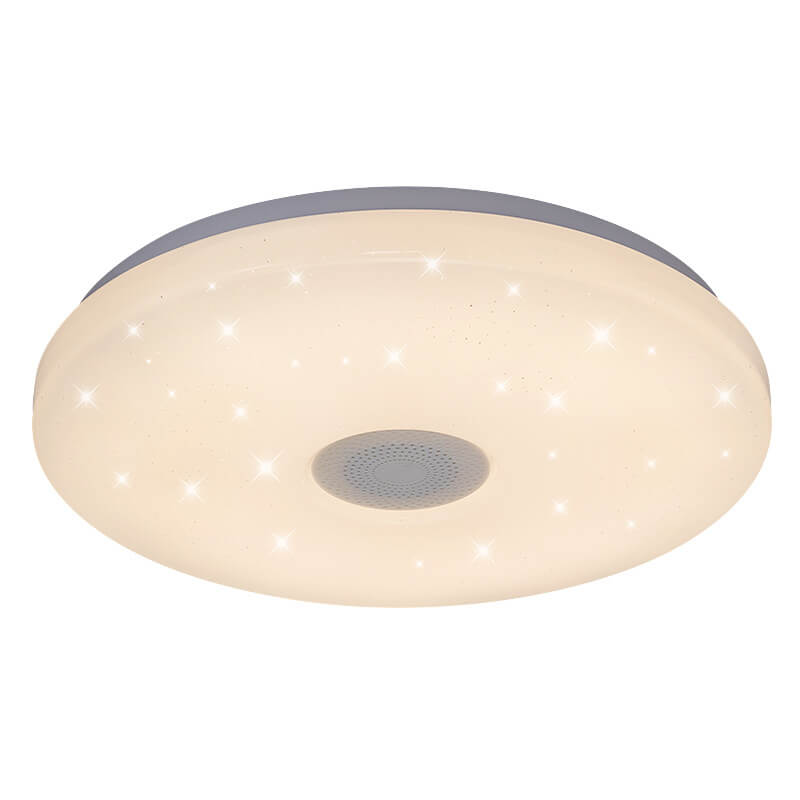 Smart Dimmable LED Remote Control Bluetooth Music Speaker Flush Mount Ceiling Light