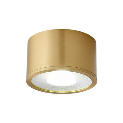 Modern Cylindrical Brass LED Spotlight Flush Mount Ceiling Light