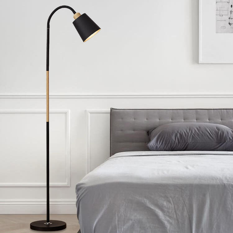 Modern Minimalist Iron 1-Light Standing Floor Lamp