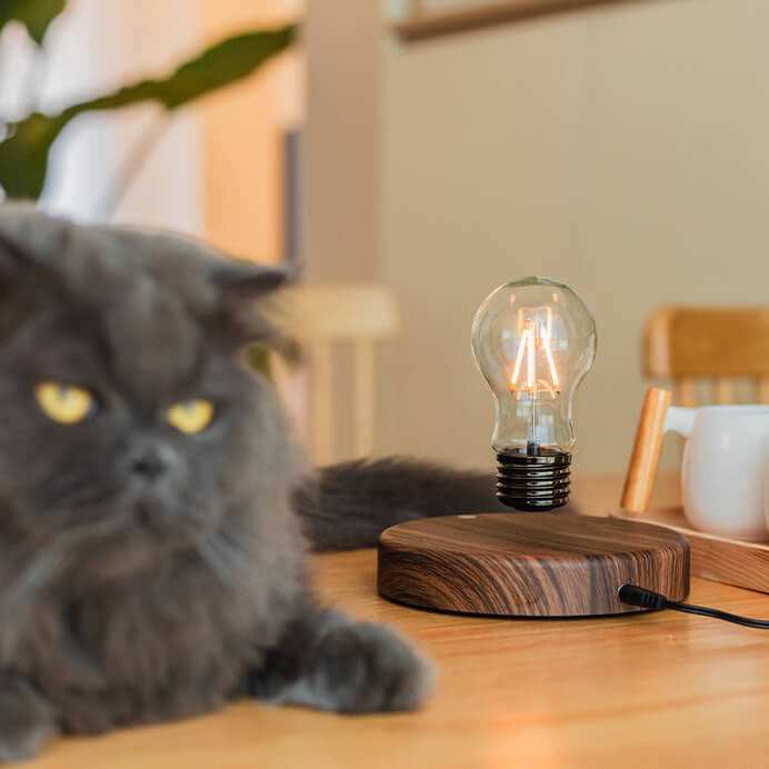 Lampe de table décorative à LED en noyer, ampoule à lévitation créative 