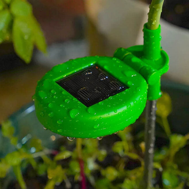 Moderne Simulation Pfingstrosenblumendekoration Wasserdichtes Solar-LED-Garten-Bodenlicht im Freien 
