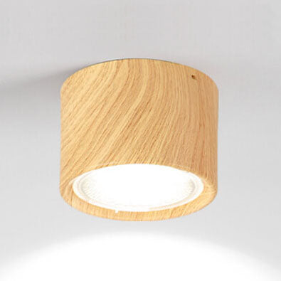 Nordic Cylinder Spotlight LED Flush Mount Ceiling Light