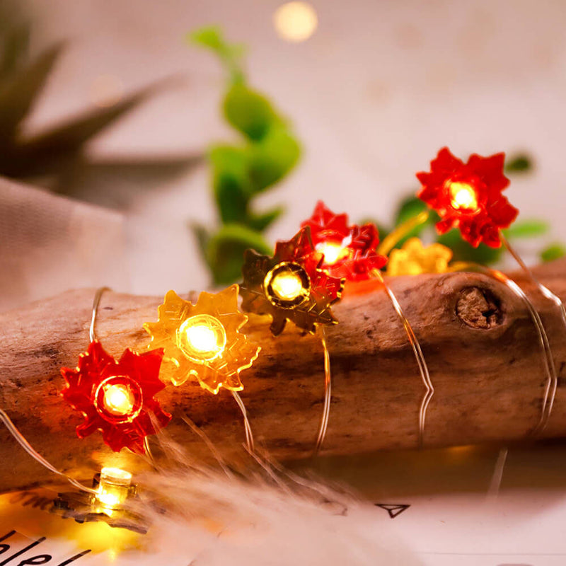 Décoration moderne de Thanksgiving avec citrouille et gland en érable, guirlande lumineuse à 30 LED 