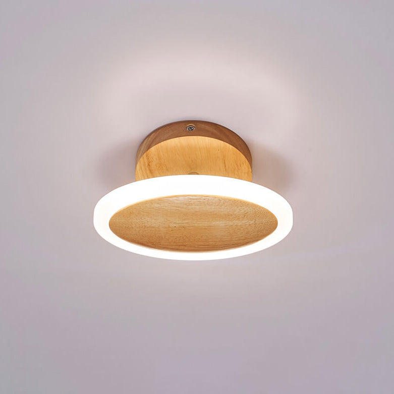 Modern Minimalist Log Oval LED Semi-Flush Mount Ceiling Light