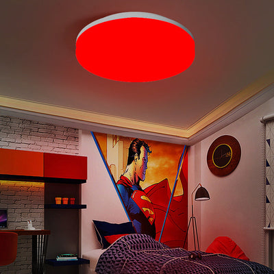 RGB Smart Round Flat Moisture Resistant LED Flush Mount Ceiling Light