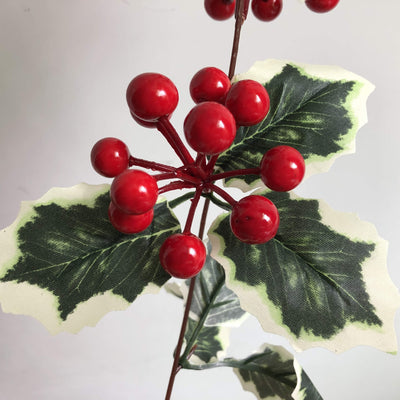 Lumières de guirlande décoratives pour Noël, fruits rouges, rotin, fenêtre de fête, patio, décoration de Thanksgiving 