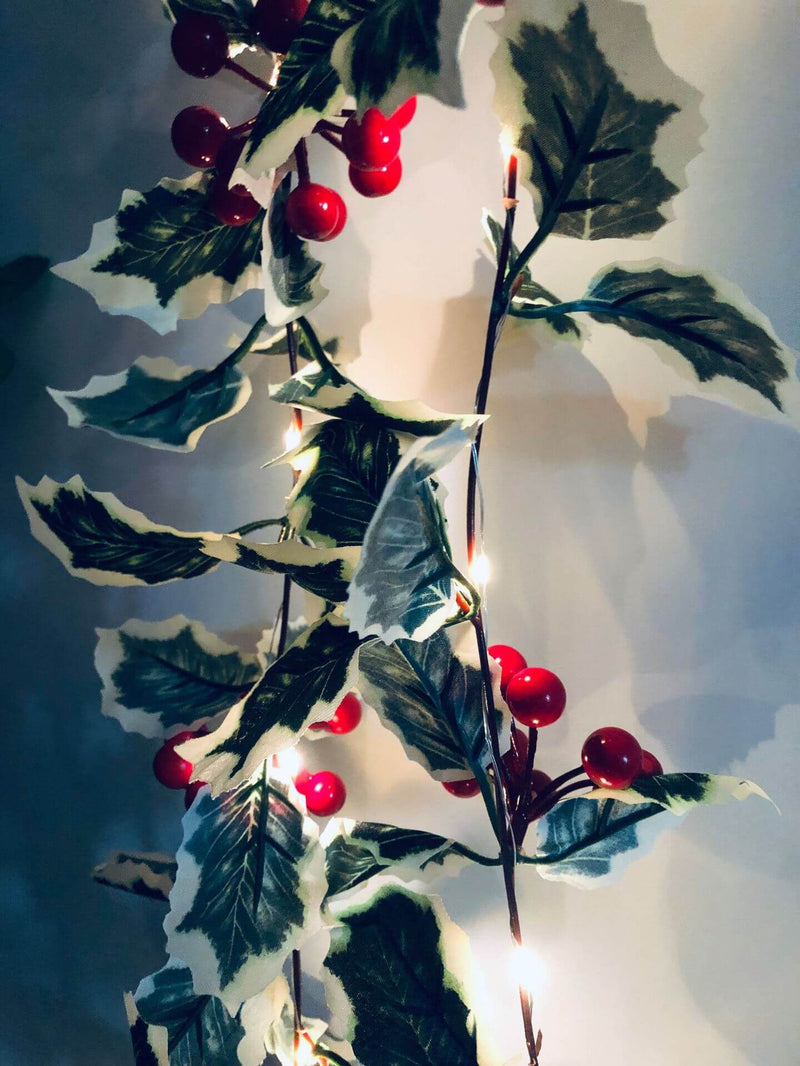 Lumières de guirlande décoratives pour Noël, fruits rouges, rotin, fenêtre de fête, patio, décoration de Thanksgiving 