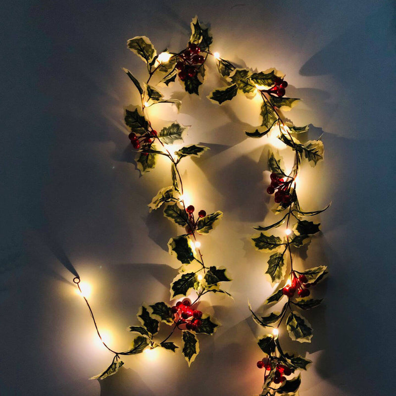 Lumières de guirlande décoratives pour Noël, fruits rouges, rotin, fenêtre de fête, patio, décoration de Thanksgiving 