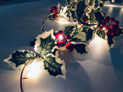 Lumières de guirlande décoratives pour Noël, fruits rouges, rotin, fenêtre de fête, patio, décoration de Thanksgiving 