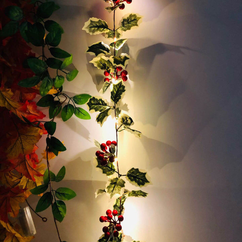 Lumières de guirlande décoratives pour Noël, fruits rouges, rotin, fenêtre de fête, patio, décoration de Thanksgiving 
