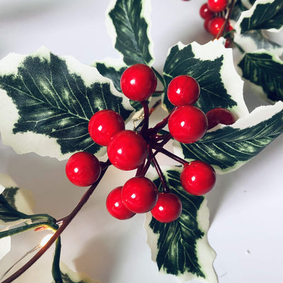 Lumières de guirlande décoratives pour Noël, fruits rouges, rotin, fenêtre de fête, patio, décoration de Thanksgiving 