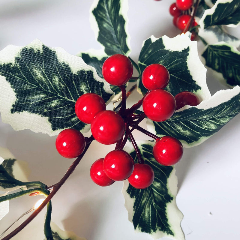 Lumières de guirlande décoratives pour Noël, fruits rouges, rotin, fenêtre de fête, patio, décoration de Thanksgiving 