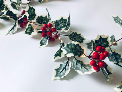 Lumières de guirlande décoratives pour Noël, fruits rouges, rotin, fenêtre de fête, patio, décoration de Thanksgiving 