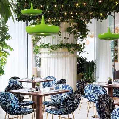 Moderne Créatif Rafraîchissant Cercle Plante Suspension Luminaire à 1 Lumière 