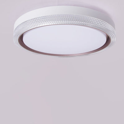 Modern Simple Acrylic Round Ring Iron LED Flush Mount Ceiling Light