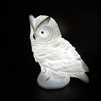 Modern Creative Owl Enamel LED Night Light Table Lamp