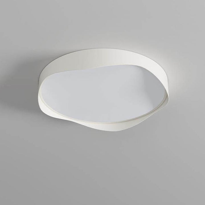 Modern Minimalist Round Curve Border Iron Acrylic LED Flush Mount Ceiling Light for Living Room