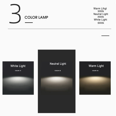 Modern Minimalist Round Black and White Edge LED Flush Mount Ceiling Light