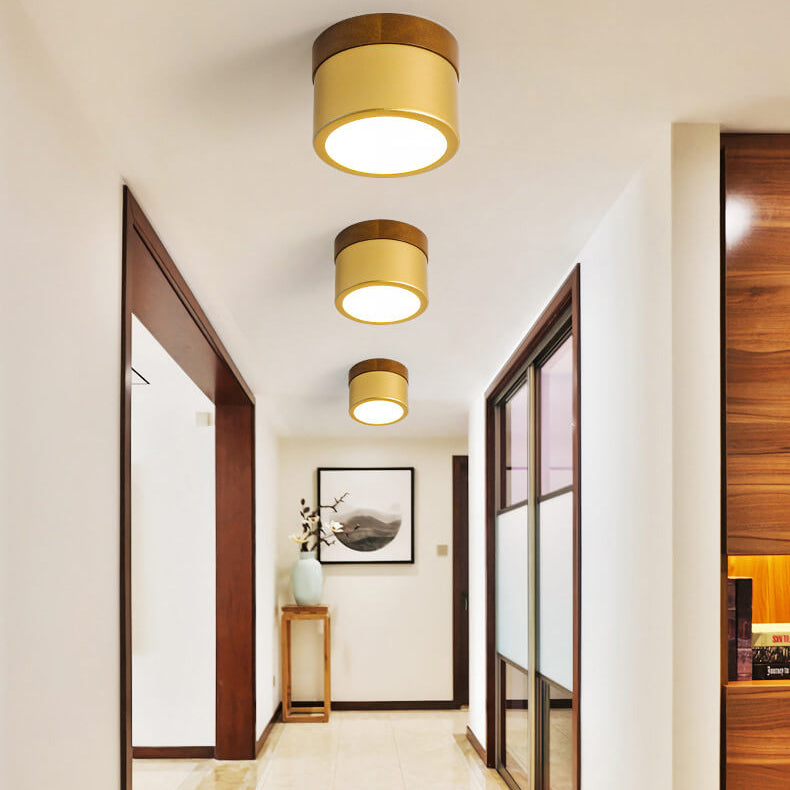 Nordic Golden Cylinder Downlight LED Flush Mount Ceiling Light