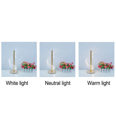 Modern Light Luxury Acrylic Curve LED Table Lamp