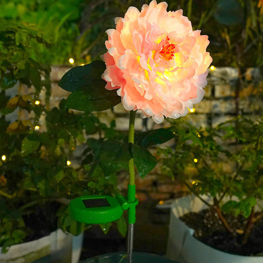 Moderne Simulation Pfingstrosenblumendekoration Wasserdichtes Solar-LED-Garten-Bodenlicht im Freien 