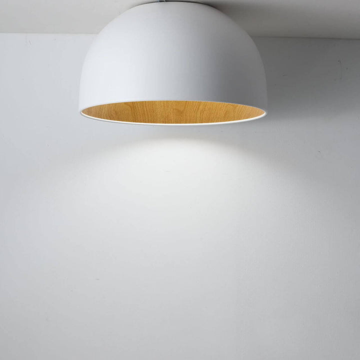 ضوء سقف مثبت بمصباح LED حديدي بوعاء خشبي بسيط 