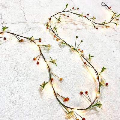 Décoration en fil de cuivre avec fruits en rotin 20 lumières guirlande lumineuse à piles 