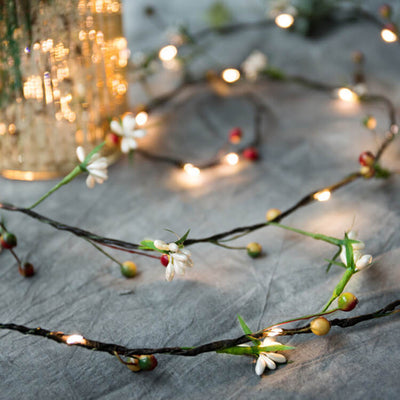 Décoration en fil de cuivre avec fruits en rotin 20 lumières guirlande lumineuse à piles 