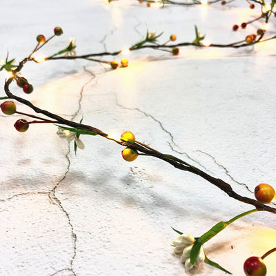 Décoration en fil de cuivre avec fruits en rotin 20 lumières guirlande lumineuse à piles 