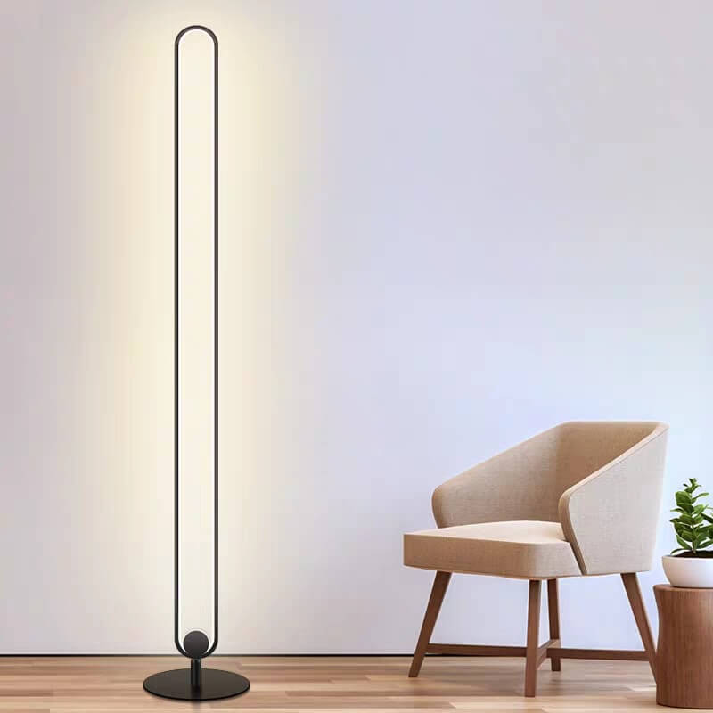 Black Ring 1-Light LED Floor Lamps